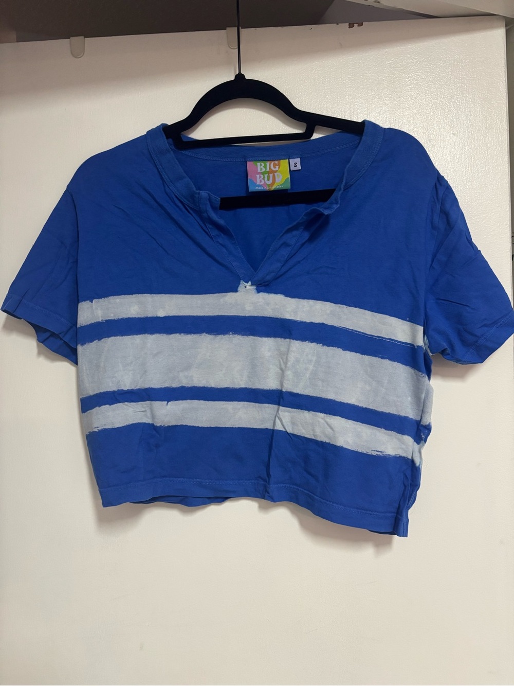 Big Bud Blue Striped Crop Top